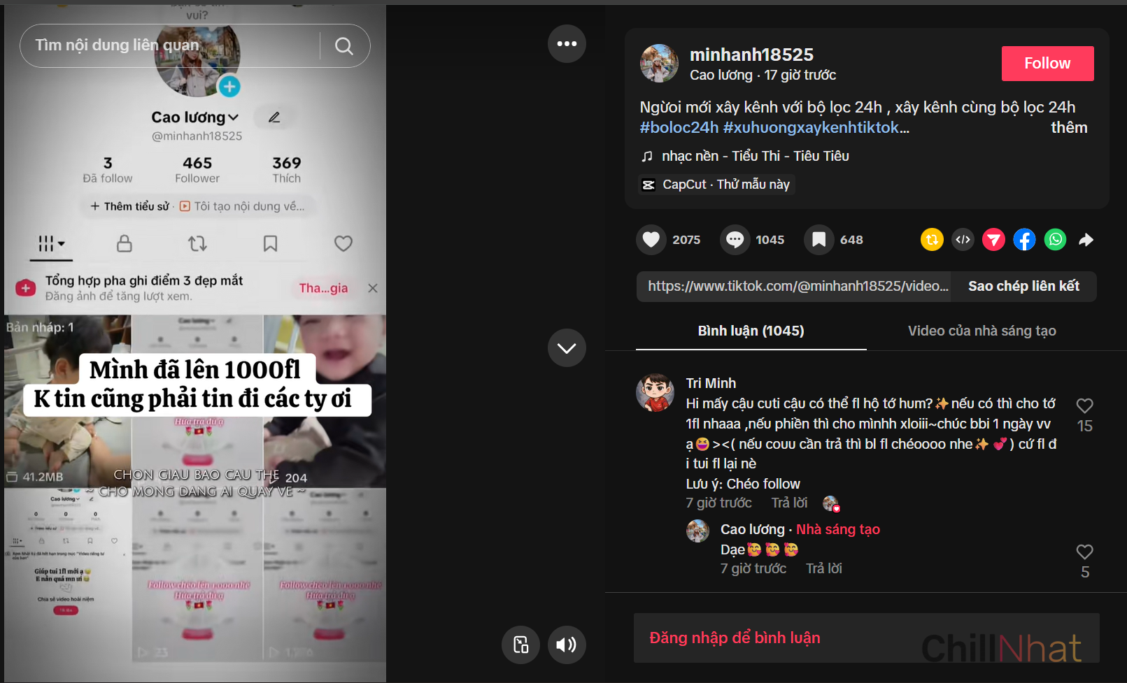 "Trend Dùng Bộ Lọc 24 Giờ Để Lên Xu Hướng"