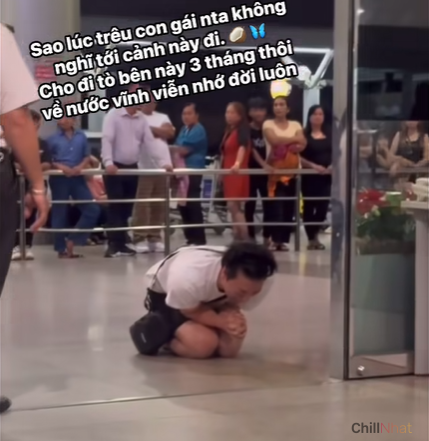 Đứng trước nguy cơ cấm bay, oppa liên tục cầu xin tổ an ninh.