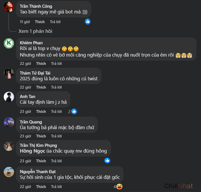 Cộng đồng mạng để lại nhiều bình luận đầy bất ngờ trên trang cá nhân của Chị Phiến.