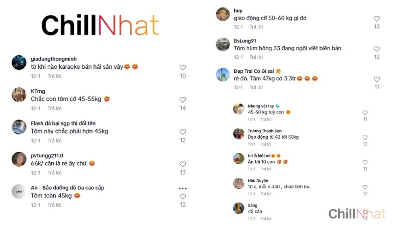 Giang cư mận đồn đoán cân nặng Tôm hùm bông 33