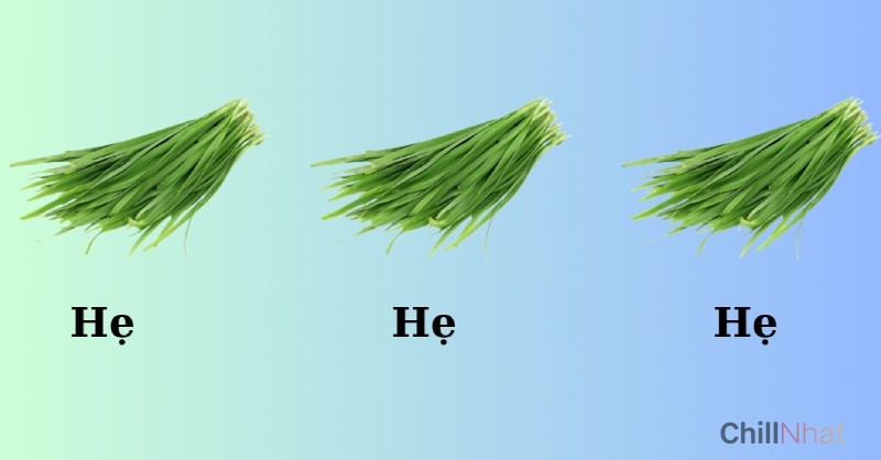 Hẹ hẹ hẹ - Slang được yêu thích nhất năm 2025