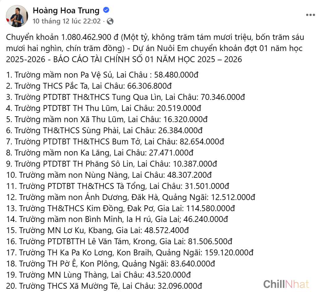 Hoàng Hoa Trung tung báo cáo tài chính