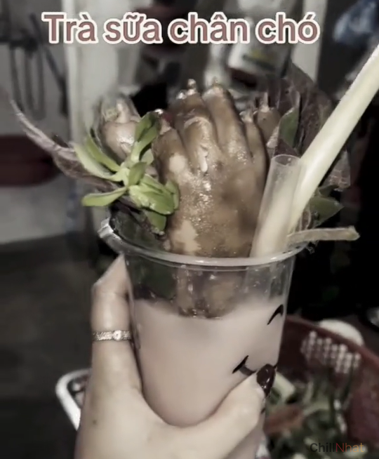 Kênh titok của quán thường xuyên đăng tải những nội dung gây sốc.