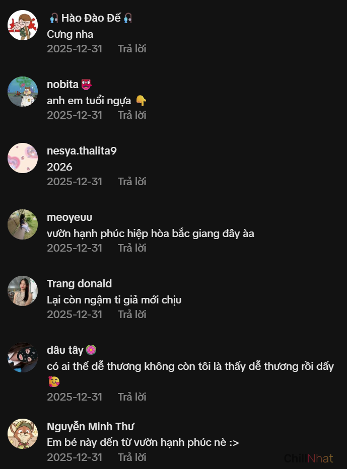 Phản ứng của CĐM sau khi nhìn thấy linh vật ngựa 2026 của Bắc Ninh