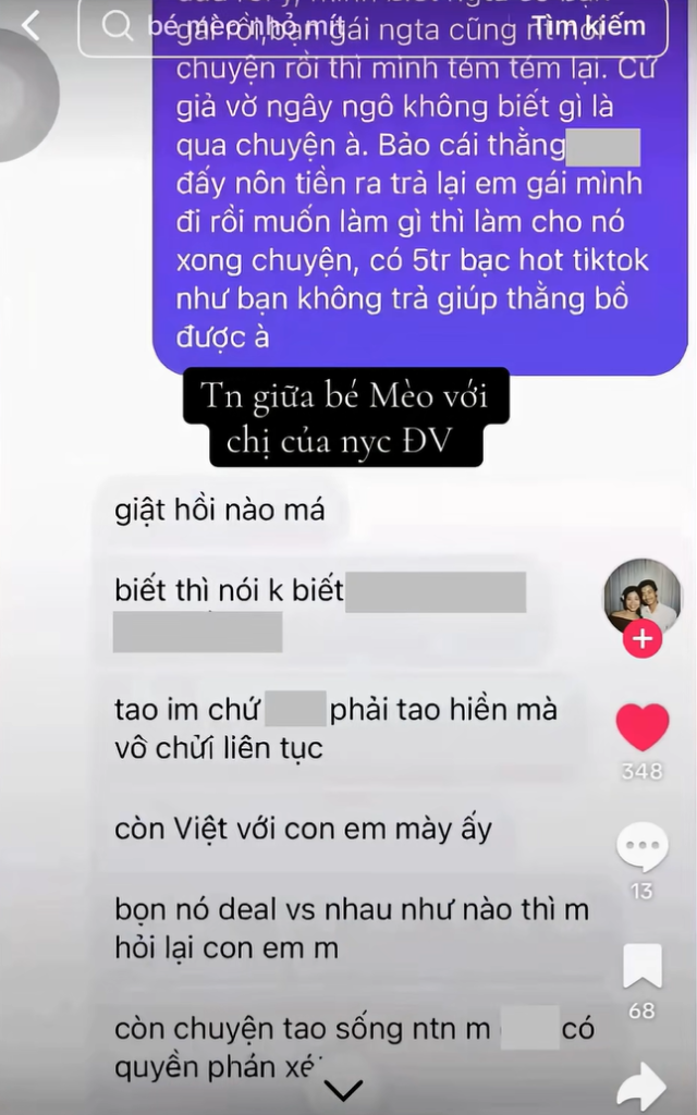 Tin nhắn giữa chị nyc Đức Việt và Tiktoker Bé mèo nhỏ mít ướt